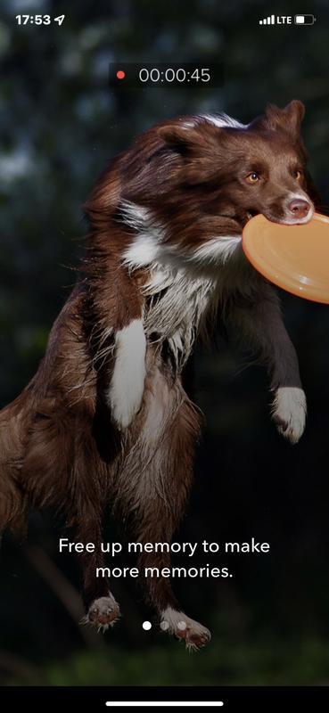 Customer photo 3 of 4. Click to open full size image.