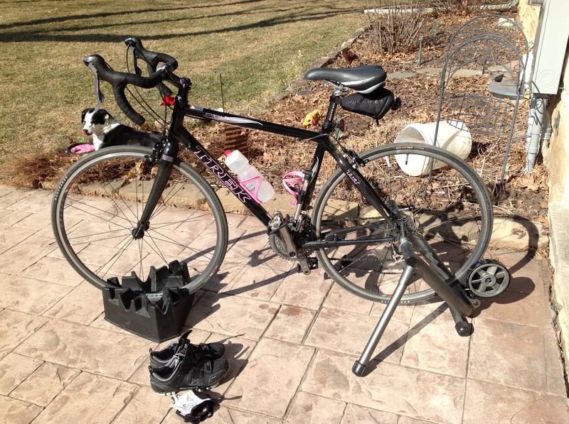 saris basic smart indoor mag bike trainer