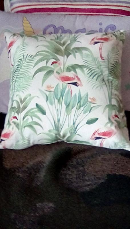 Photo from FlamingoGal1978