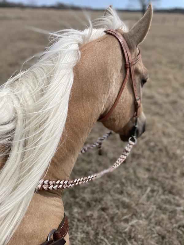 2 day old wash/ condition and still silky and soft !