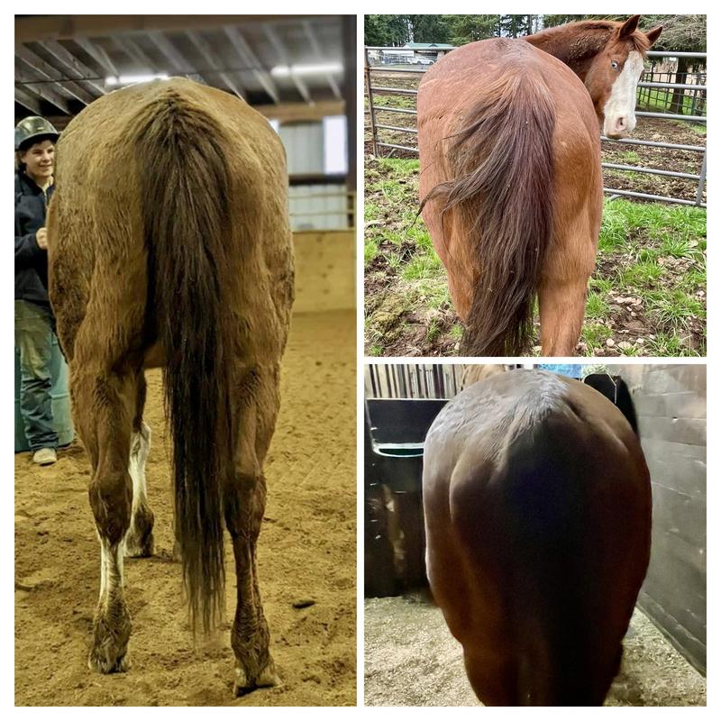 Santa Cruz products sure make a difference!