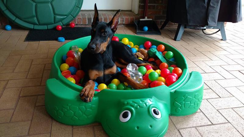My favorite play time.