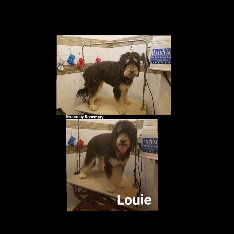 Louie