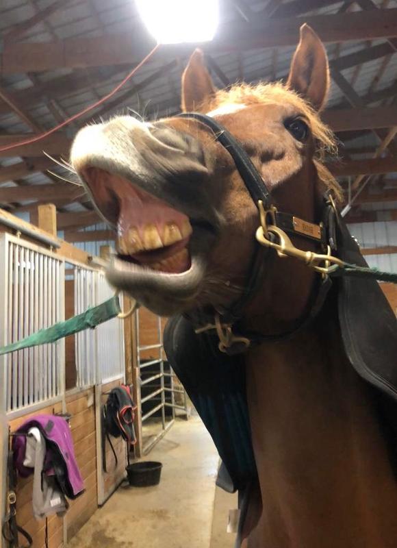 Hadar has a happy tummy!