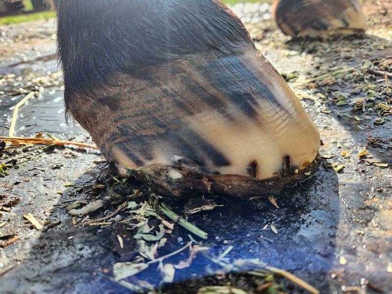 These are some before pics…