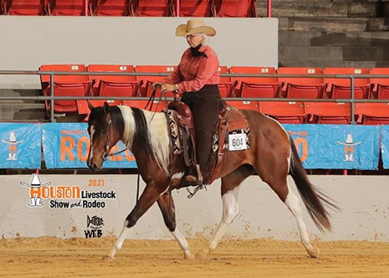 APHA mare - CHECK OUT MY MACHINE.