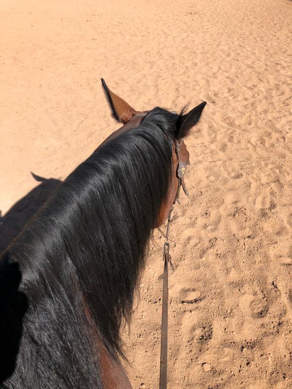 Pretty shine and feel