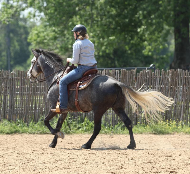Ranch riding, me and Flywheel my BLM Mustang
