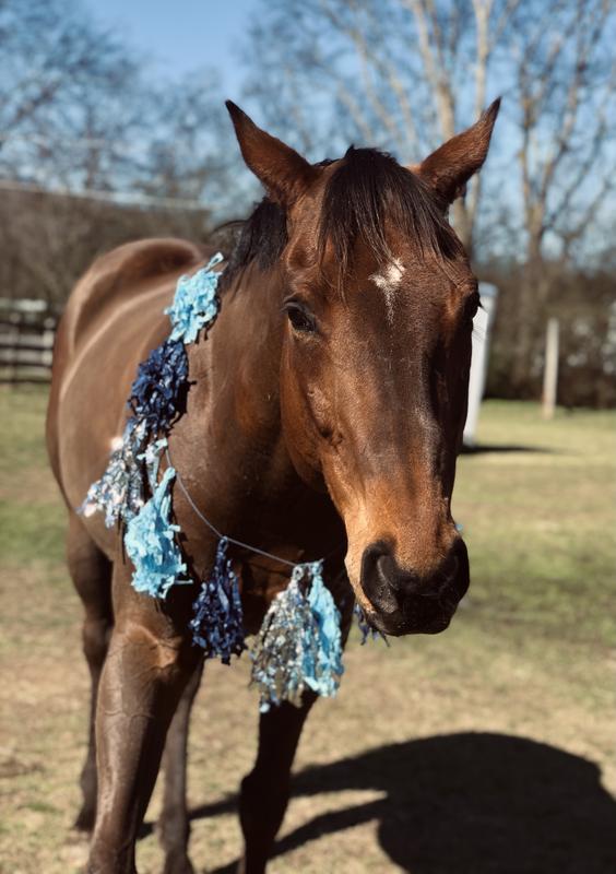 Just look at that shine!