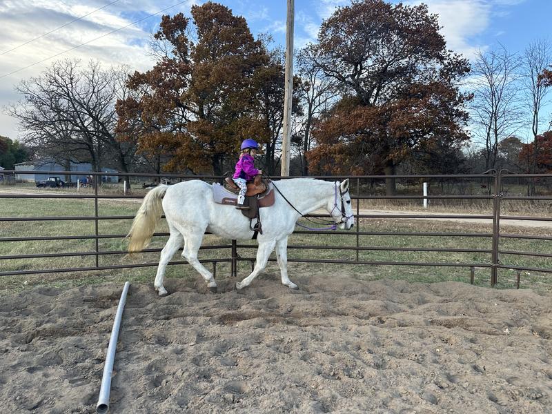 My daughter riding “her horse”