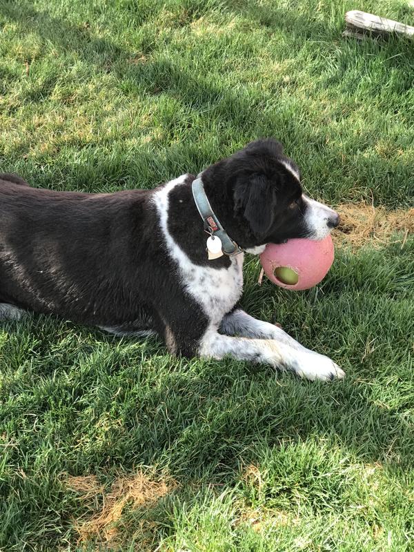 Terrible shave that I did NOT ask for…