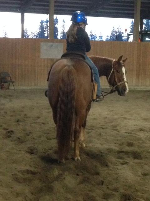 AQHA PLAYBOYS SUGAR DADDY our cutting horse