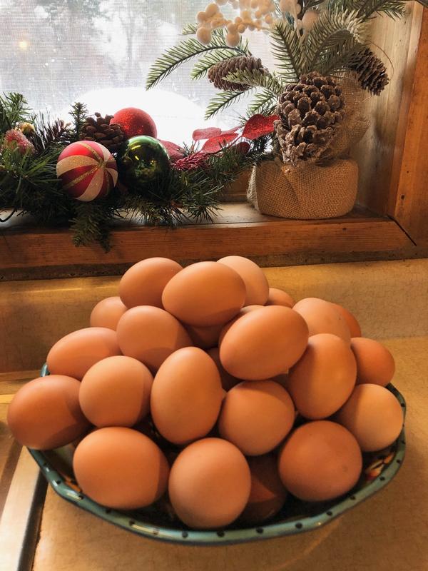 Eggs from northern Idaho in early February.