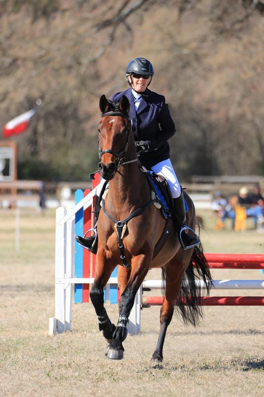 Three Day Eventing partnership