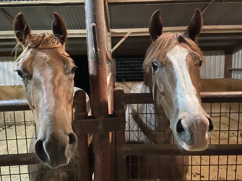 We love UltraCruz!