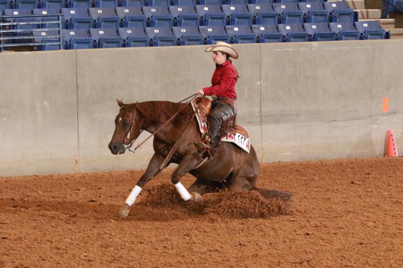 Show Ready with Ultra Cruz Shampoo!