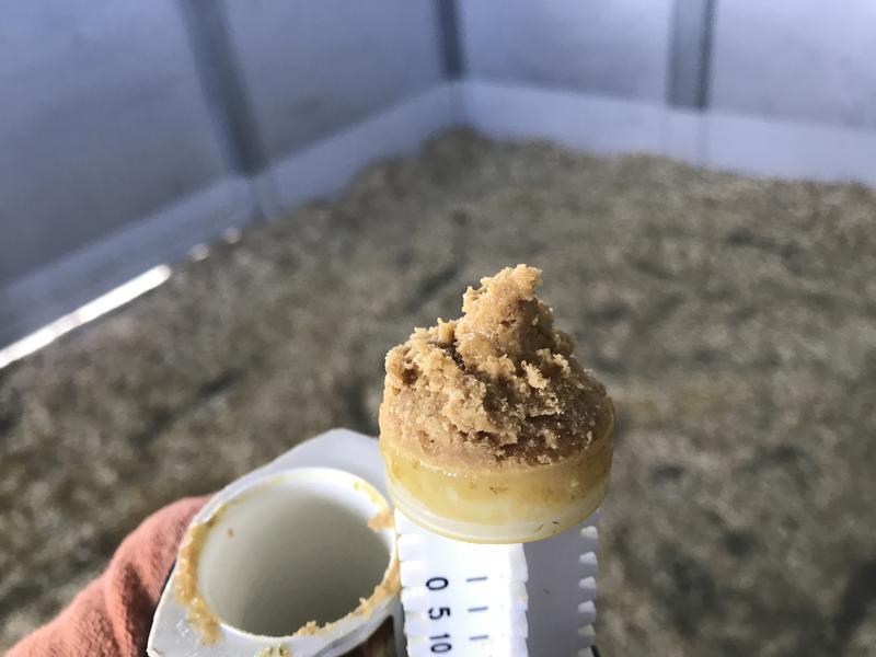 Almost dry material at bottom of tube