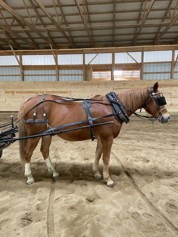 Learning to drive at 22 years old