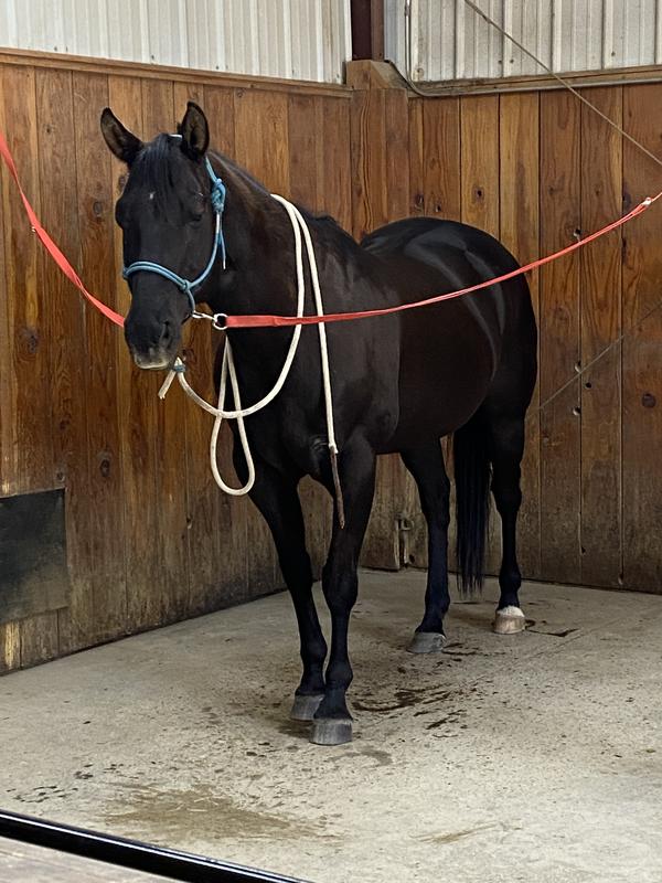 Looking and feeling good