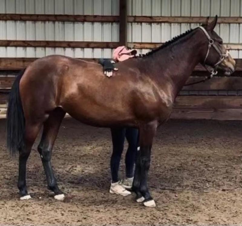 UltraCruz is terrific