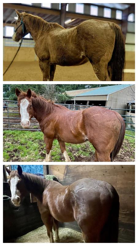 Progress! (Dec 2023-April 2024)