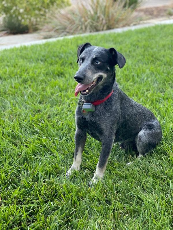 So fresh and so clean