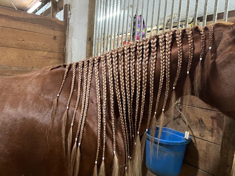 UC braids!