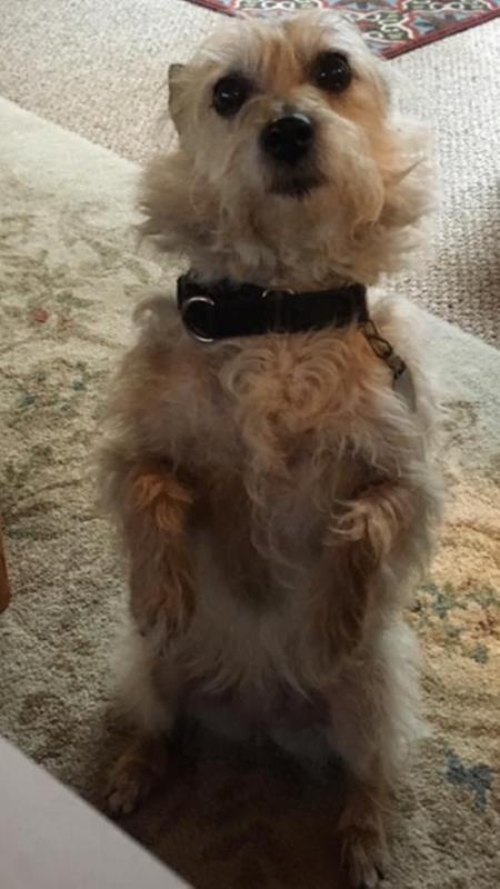 Sweet Ella! Feeling great!