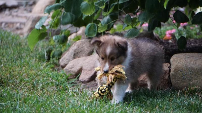 Always carrying something!