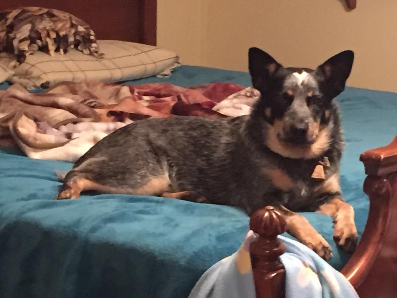 Watching Mom get ready to go to work.