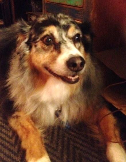 She's a Happy Girl !