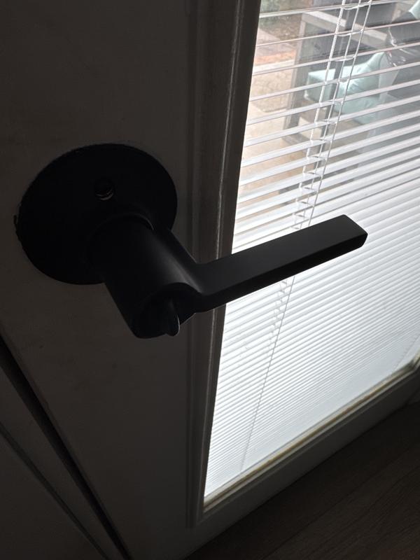 Back door