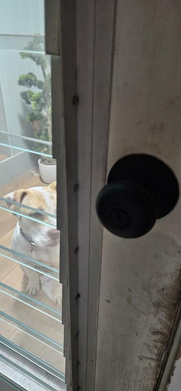 Photo - commentaire&nbsp;2.