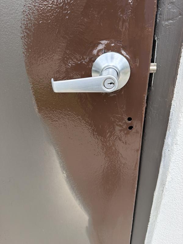 Schlage Accent Satin Nickel Keyed Entry Door Handle F51A ACC 619
