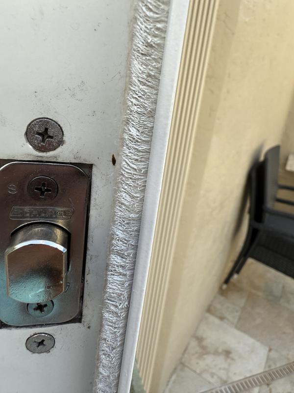 Photo - commentaire 8.