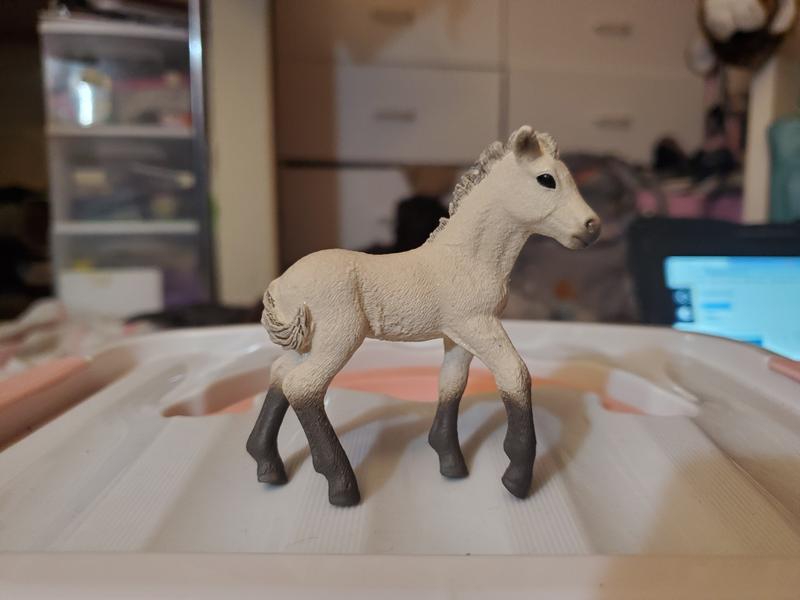 One side of the foal
