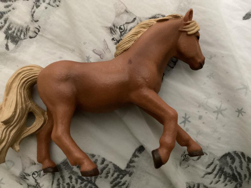 Firecracker’s other side