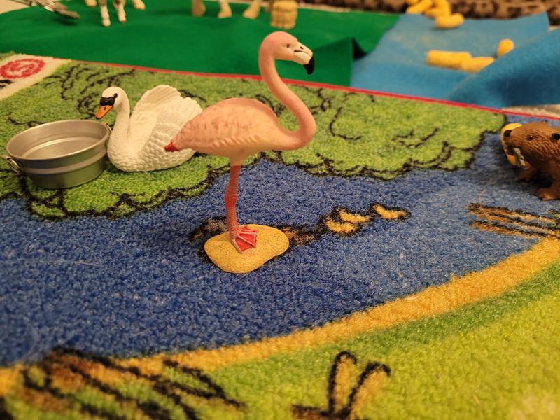 We have the farm rug where the flamingo occasionally hangs out.