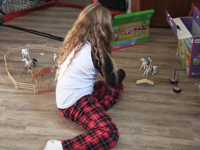 Two sets mixed together, sisters are having fun with these