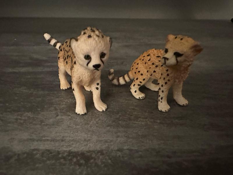 Schleich store cheetah cub