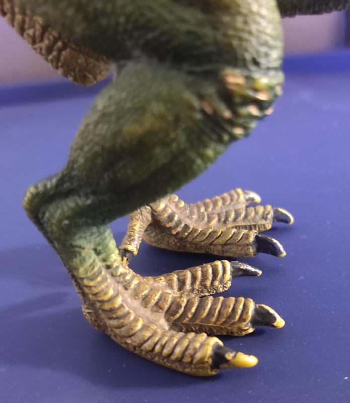 Only wear after 7 years is the toenails