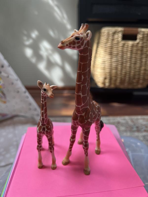 Photo from Amanda747r