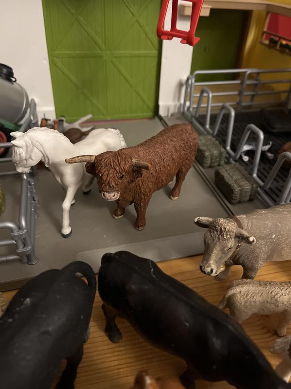 Schleich cows and store bulls