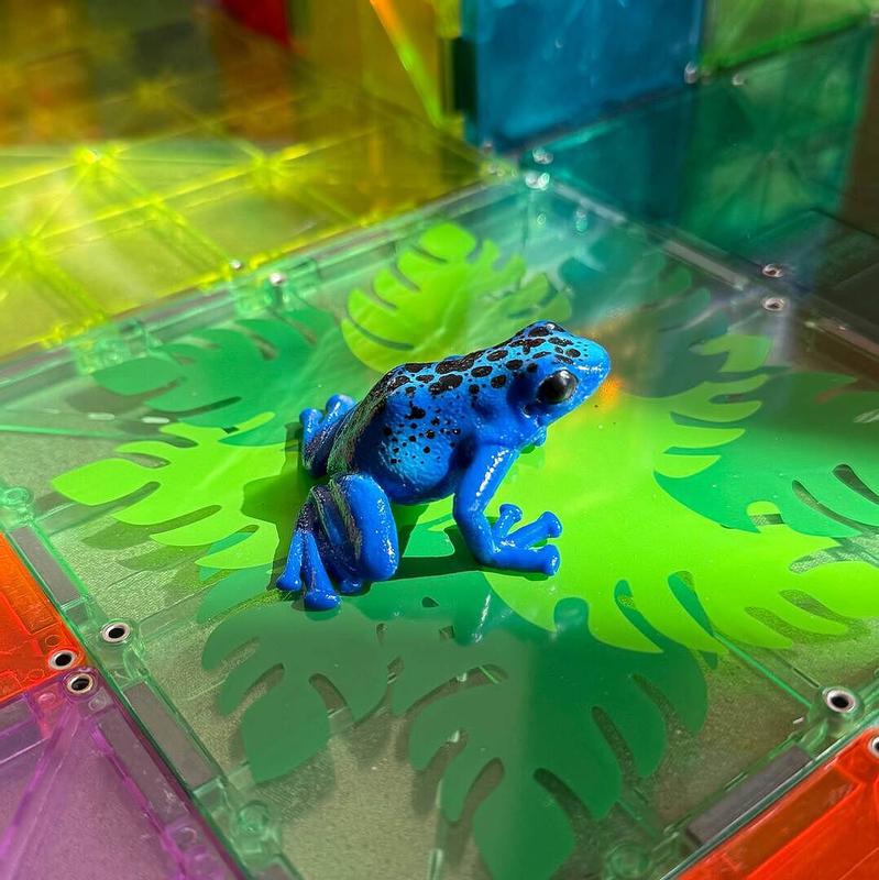 Schleich Blue Poison Dart Frog - 14864 | Blain's Farm & Fleet
