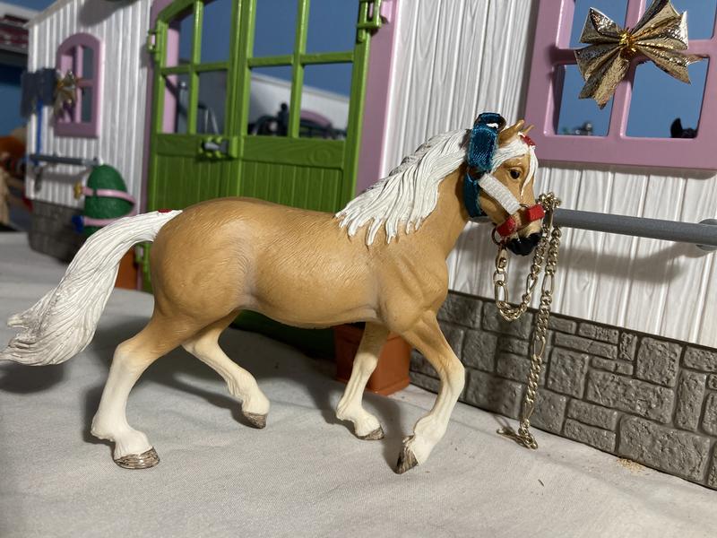 Haflinger Mare 13950 HORSE CLUB | Schleich USA Inc.