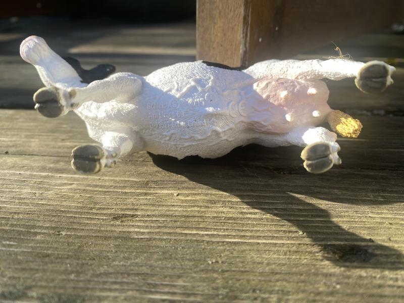 Review photo 5.