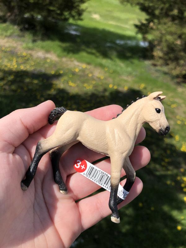 Playful Foal - Horse Club - Schleich – The Red Balloon Toy Store