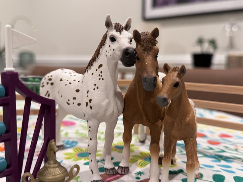 Review Thumbnail Image 0 275607188