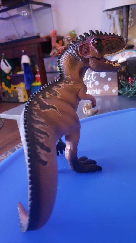 Review photo 5.