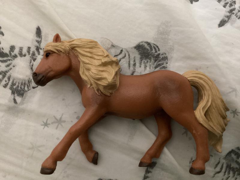 Firecracker’s good side